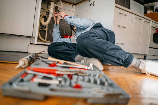 Best Local Plumber Services  in Cosmopolis, WA